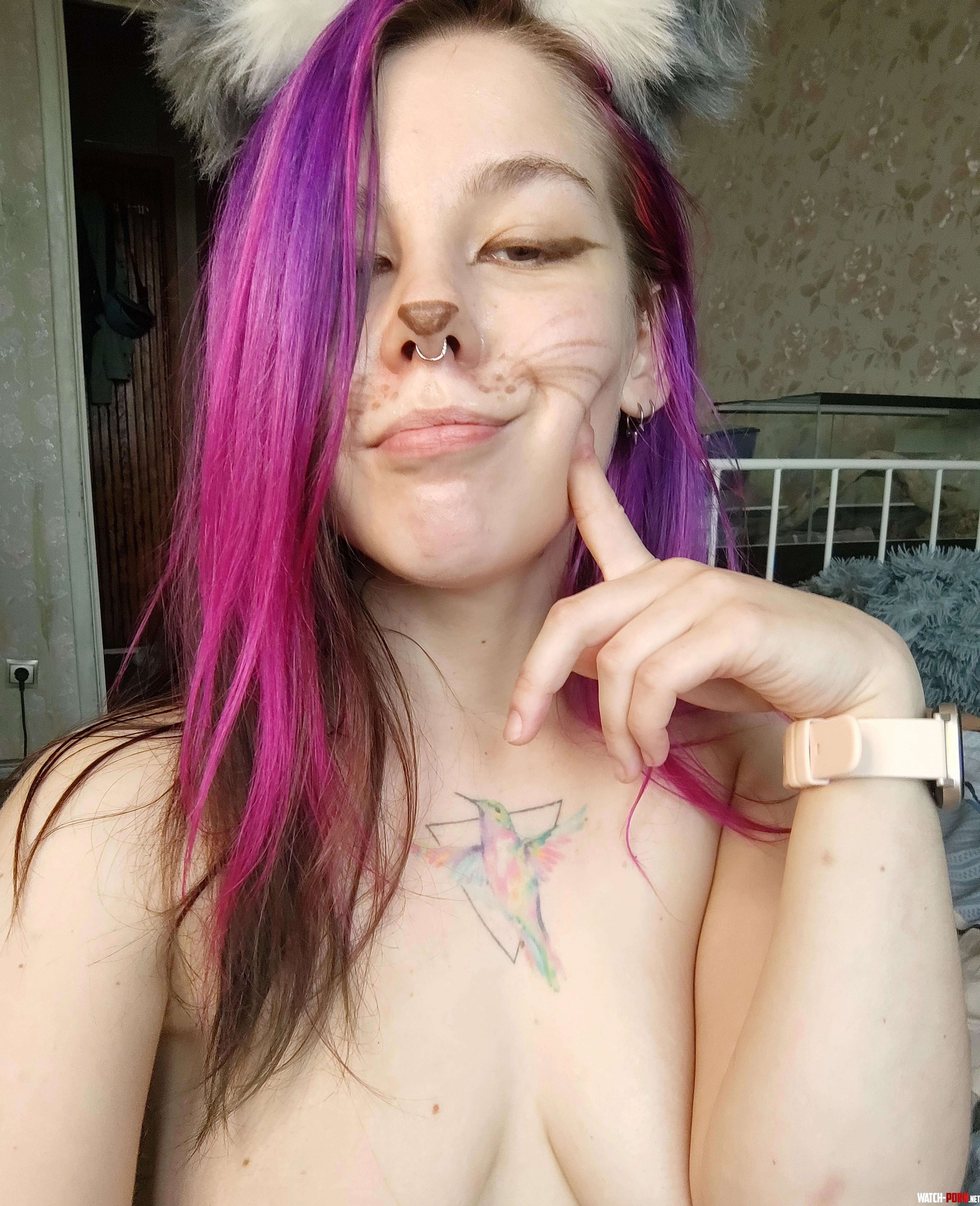 pet me maybe i promise ill purr by MesmerizingLove