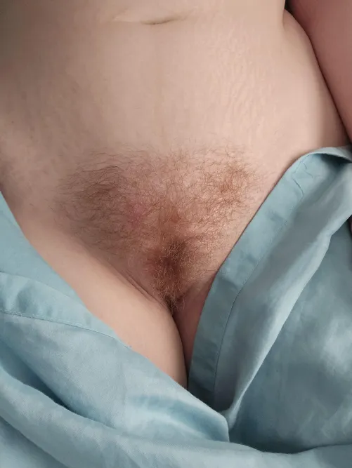 Thumbnail Sneak a Peek Beneath the Sheets for Some Hairy Actions