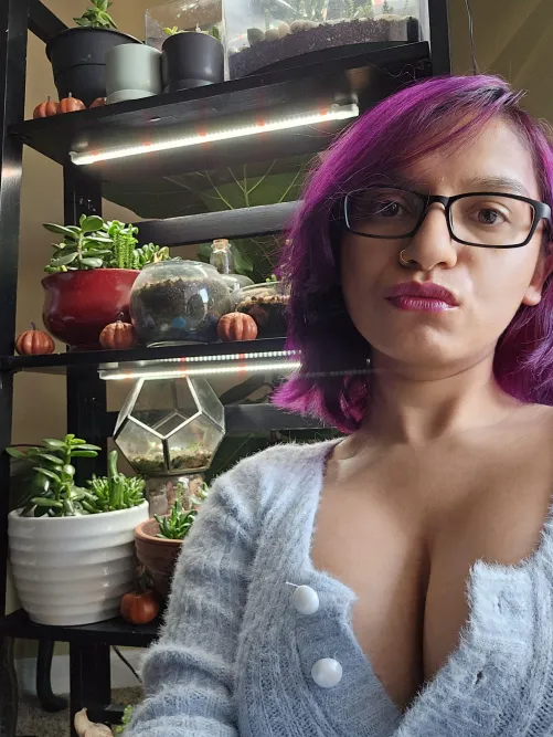 Thumbnail Bustybunnyx18 Dominates in 'Let Mommy Dominate Your Entire Life'