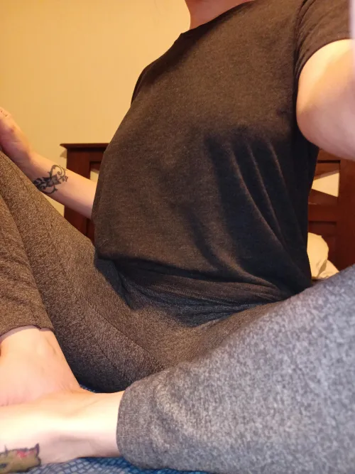 Thumbnail Getting Comfy with Pokies | Author: QuirktheSim