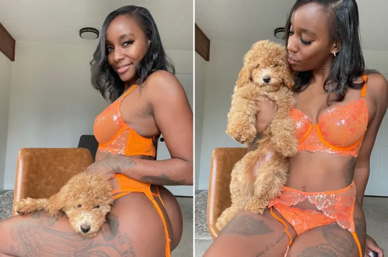 Thumbnail Mini Labradoodle Story by Model Midnight on SuicideGirls