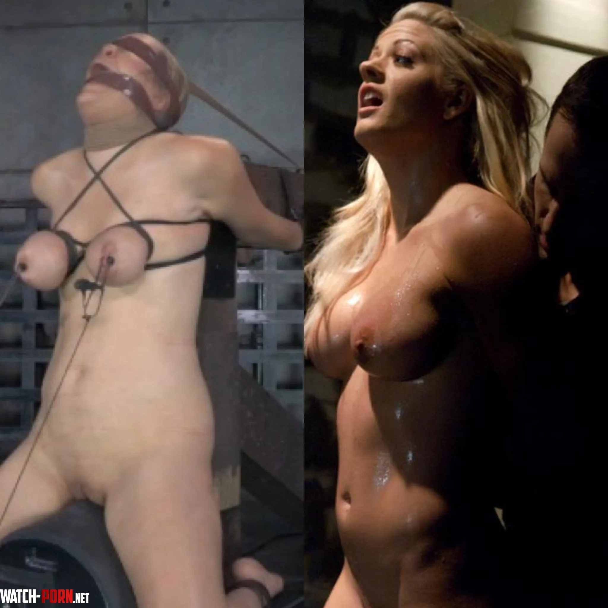 Painslut vs substitute painslut As suggested after every 74 hours of torture painsluts would undergo a recovery period of one day During this time there will be a temporary painslut assigned to owner  by Important-Mistake977