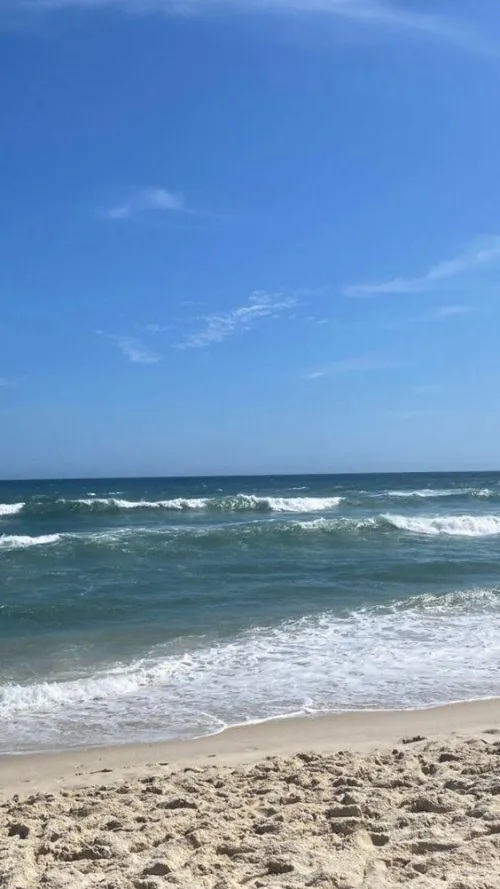 Thumbnail Embrace the Beach Life: Waves, Sun, and Fun by LetterheadCute8724