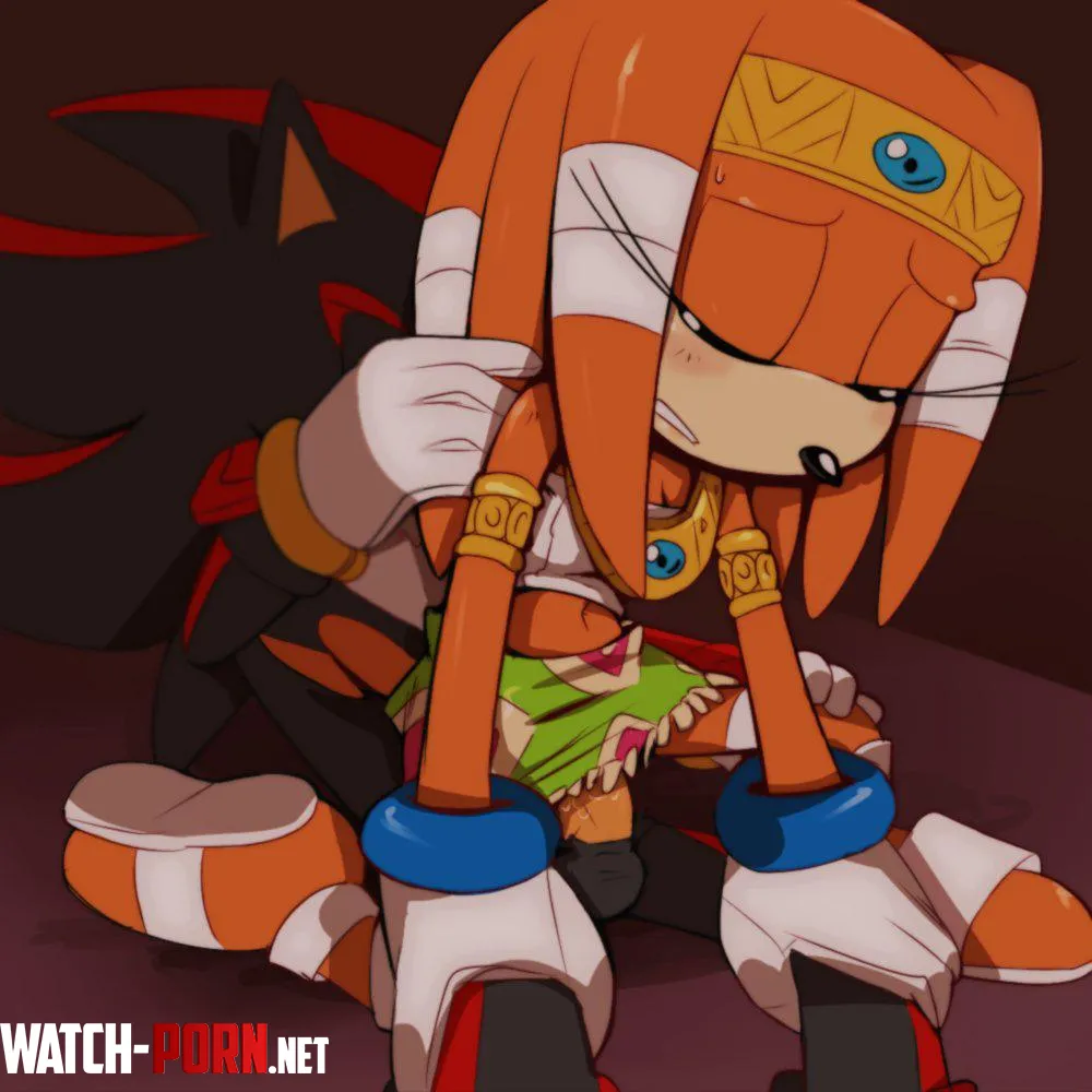 Shadow and Tikal being gentle Incognition by Incognitial