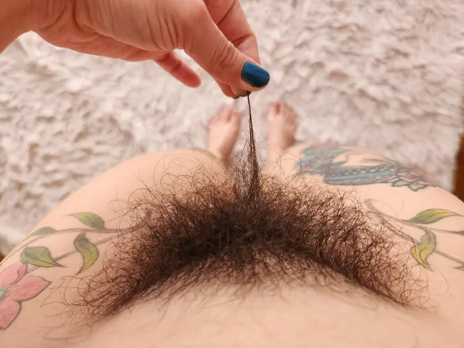 Thumbnail hairyangela thefullbush: Witness the Growth of a Wild Bush
