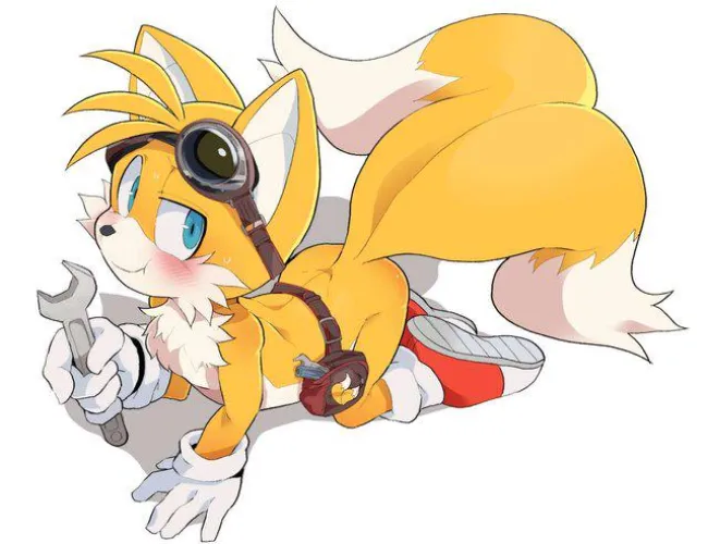 Thumbnail Tailssimp's SonicPorn Challenge: Tails Ready for You