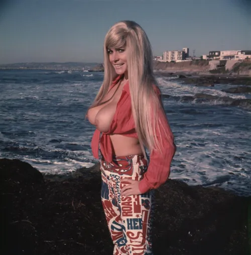 Thumbnail Immerse Yourself in the Bay Adventure of 1969
