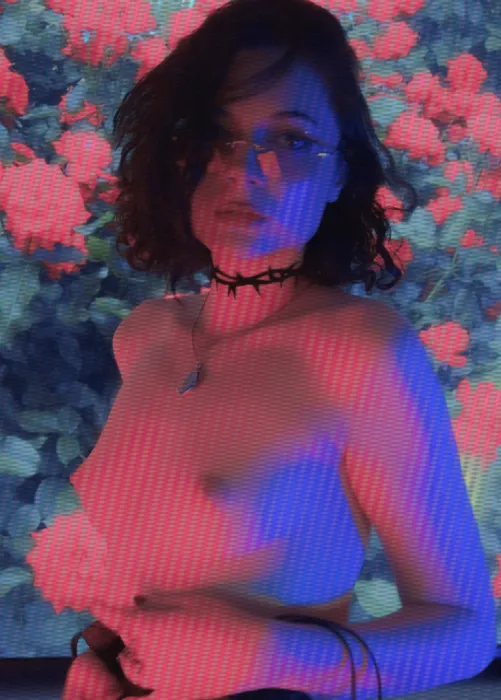 Thumbnail Unveiling the Mystery of 'A Rose That Cannot Be Plucked' | MereOasis