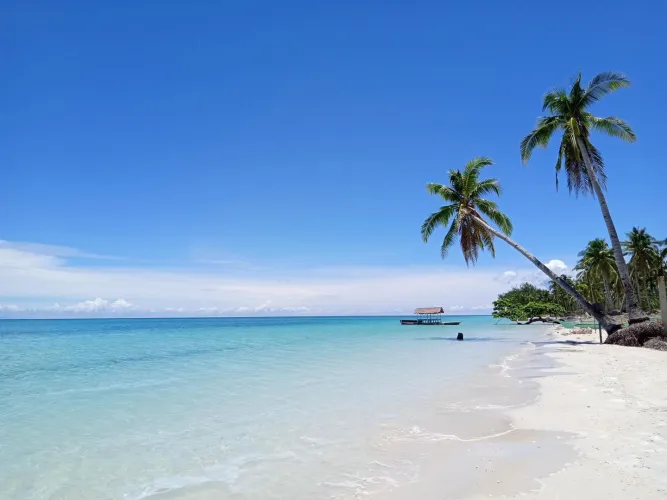 Thumbnail Dive into Vitamean Sea Therapy at the Beach