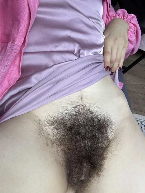 Thumbnail I've Got a Bush So Thick It's Practically a Jungle by Creative-Strength-17 - GoneWildHairy Category