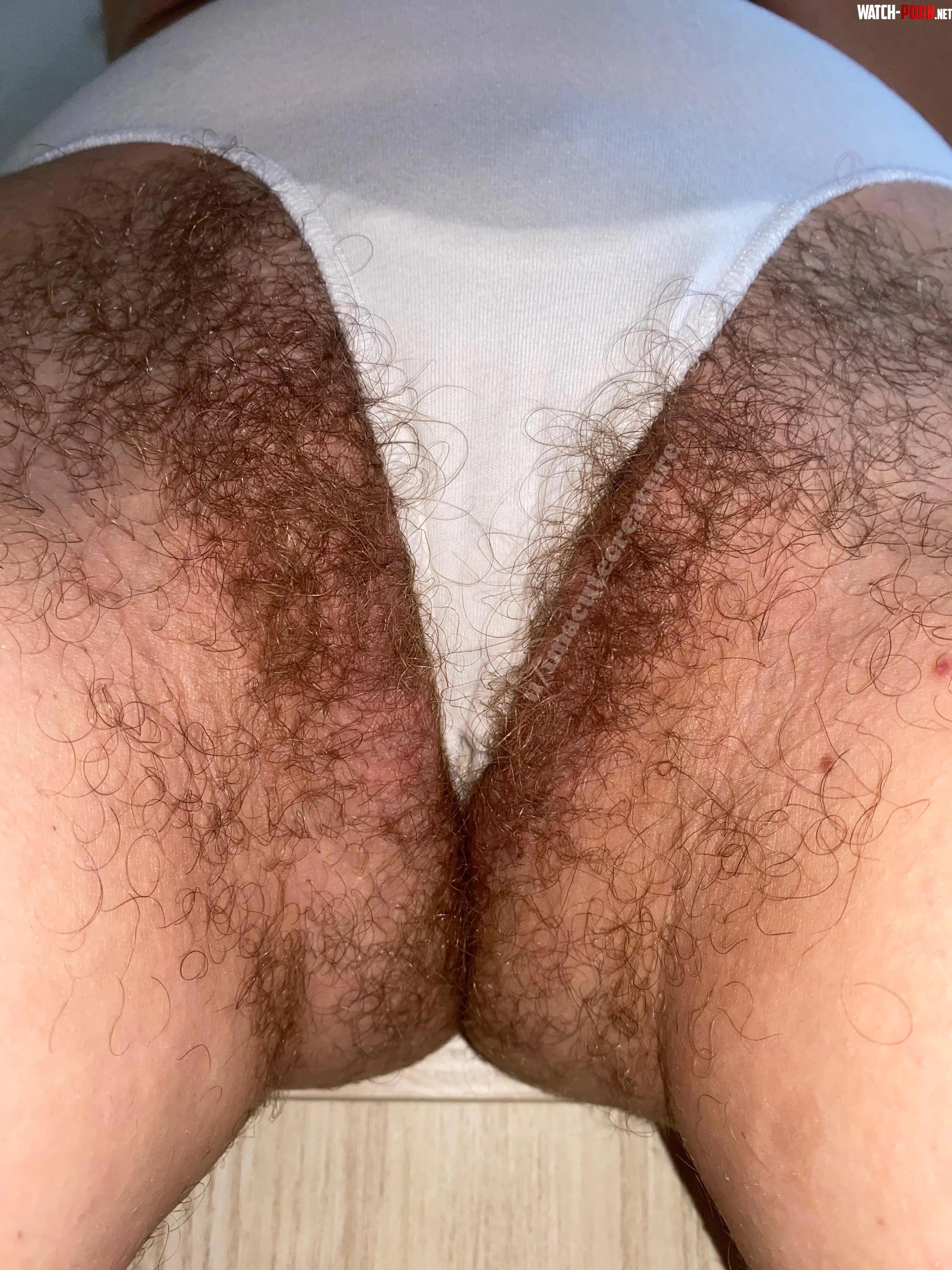 POV My pussy is in front of your face Your actions by imacutecreature_