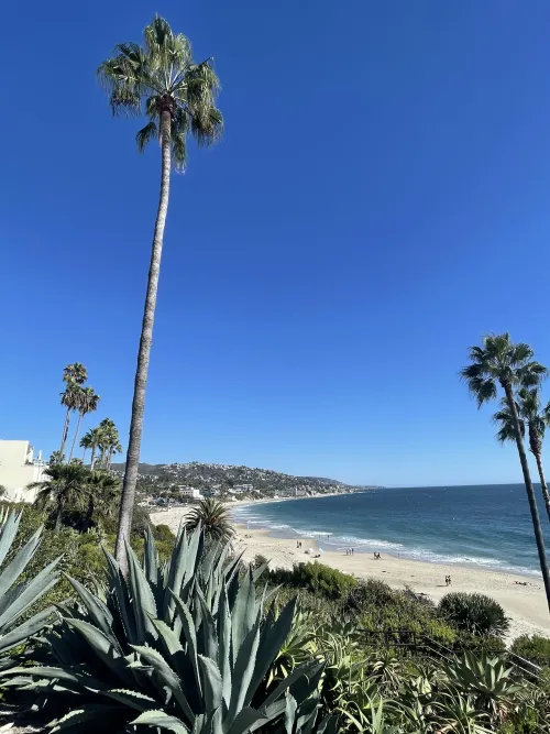 Thumbnail Ultimate Guide to Laguna Beach CA: Stunning Views of Cactus, Palm Trees, and Pacific Ocean - Ready_Pudding2730 | Beach Category