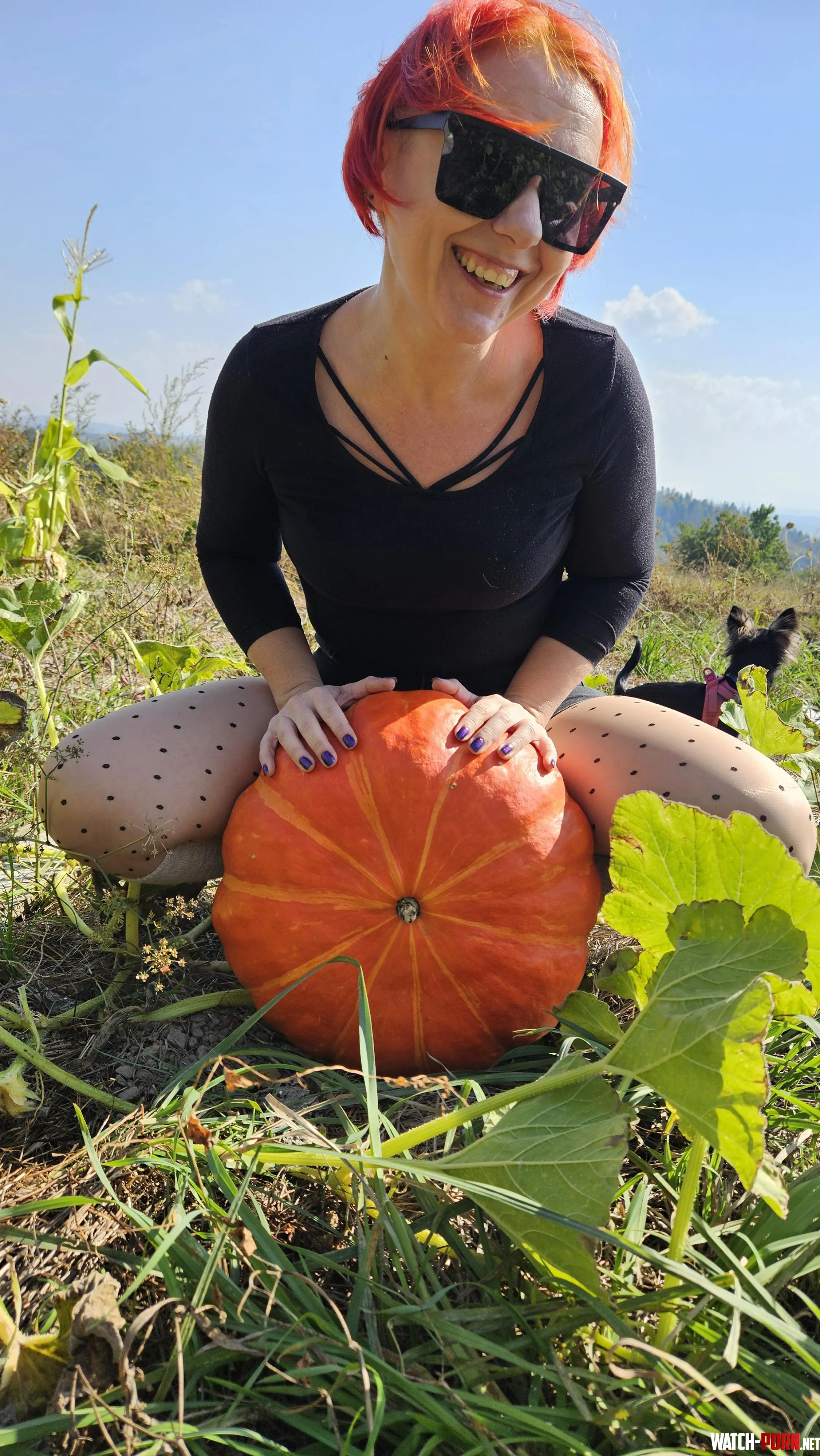 Pumpkin hair  by StrongPandarina