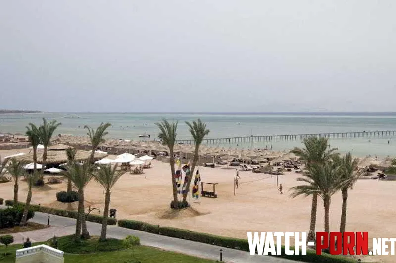 Sandy beach ideal for relaxation Sharm El Sheikh by Tangcityshop