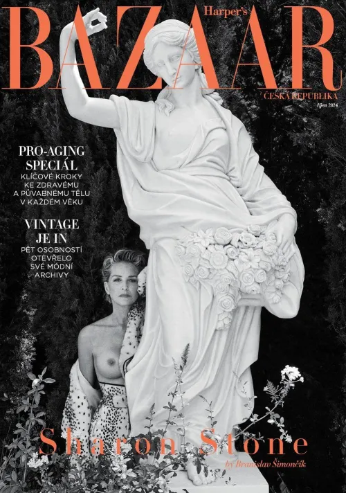 Thumbnail Sharon Stone Harper's Bazaar Cover Story 2024 by m4xwe11d