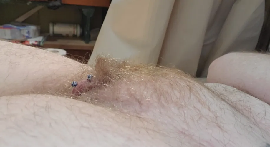 Thumbnail The Allure of Hairy Ginger Mounds by ftm666incubus | PussyMound Musings