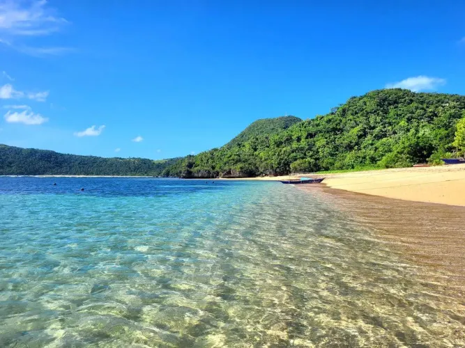 Thumbnail Crystal Clear Water: A Beach Lover's Guide by purplebaby25