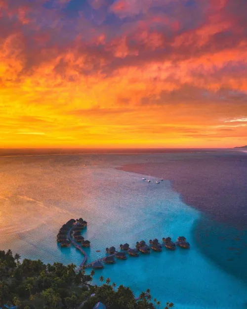 Thumbnail Dreaming of French Polynesia: A Beach Lover's Paradise by EnzoSMO