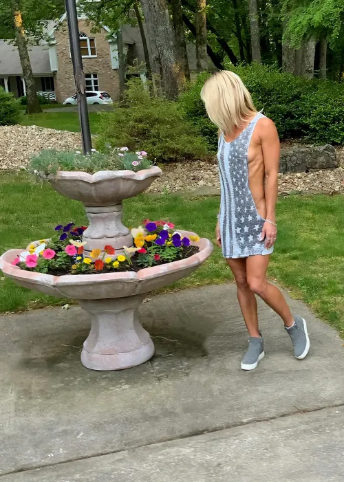 Thumbnail Full Bloom Flowers: SavanahLinn's Perspective