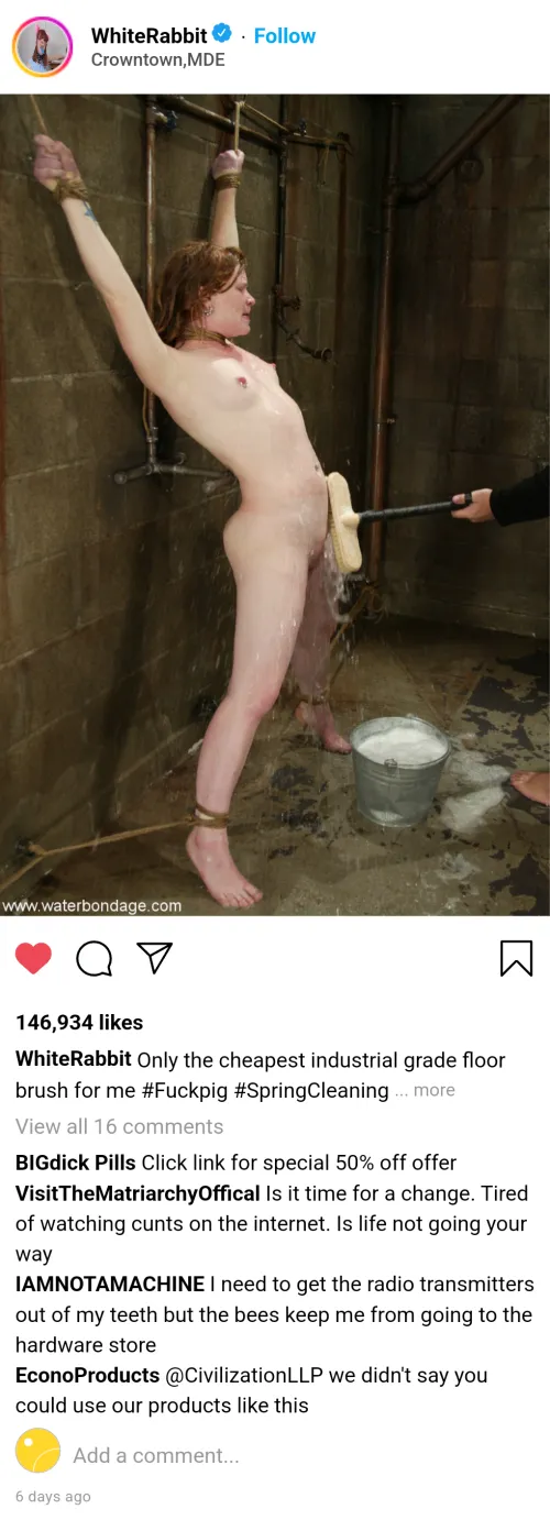 Thumbnail Spring Cleaning on Cuntstagram: A Maledom Empire Perspective