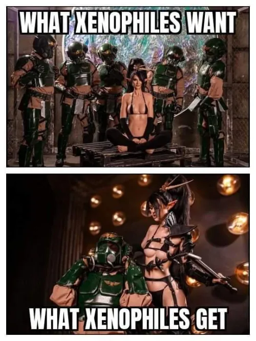 Thumbnail Dark eldar Critique by Cultural_Car_4195 - MonsterGirl Analysis Shared