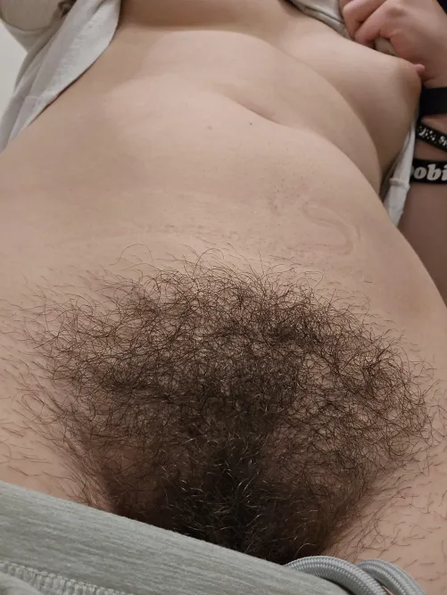 Thumbnail Beauty in the Bush: Exploring the Ideal Level of Hairy with electronicnotetaker