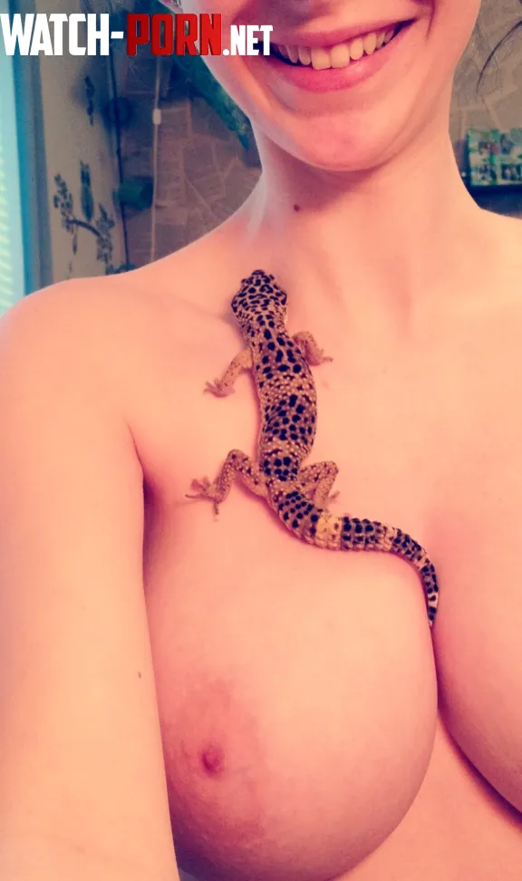 Lizard by abombporn
