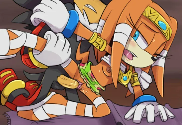 Thumbnail Rough Play with Shadow and Tikal - Incognitial