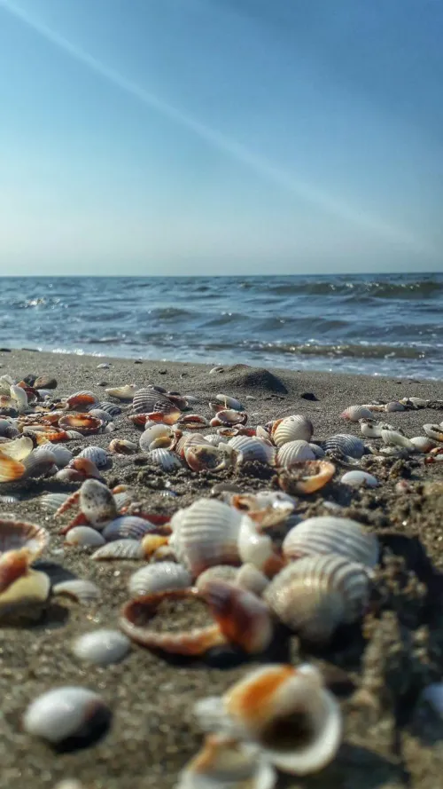 Thumbnail Journey to Beach Bliss by Jimenahot