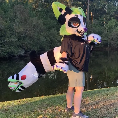 Thumbnail Beetlejuice Partial Artwork Completed | Kitzophrenic | Furry