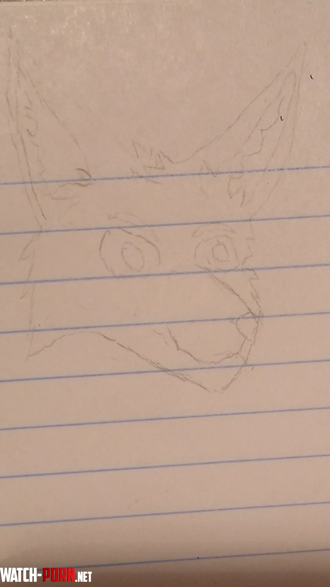 Tried drawing a fox OC and the snout is a bit jaink Anyone got any tips on how to improve by Wolf501