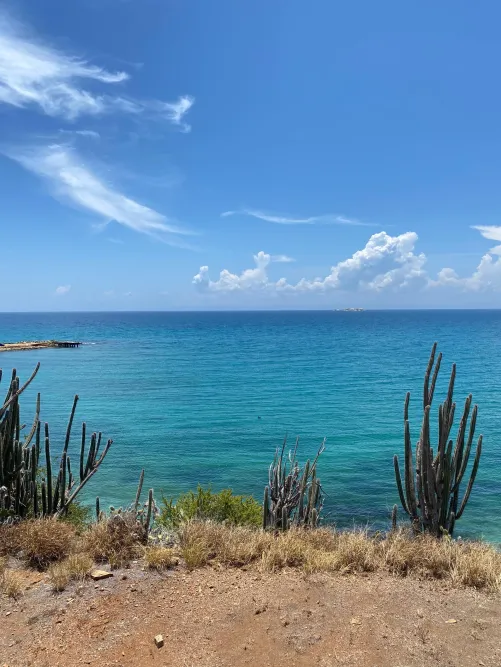 Thumbnail Caribbean Sea Hits Different: Experience the Magic by PaolaLag | Beach Category