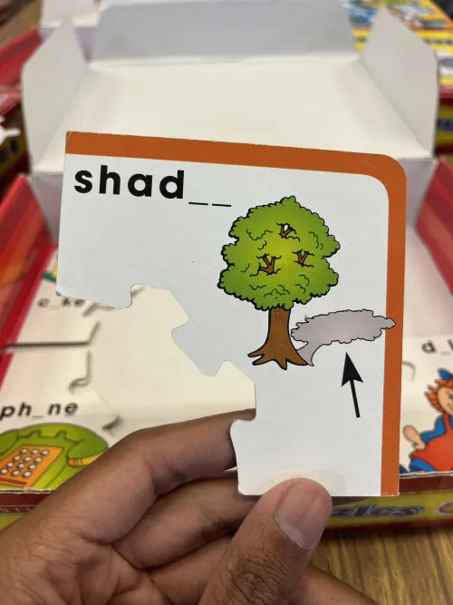 Thumbnail Mysterious Queries: Seeking Answers in Shadman's World