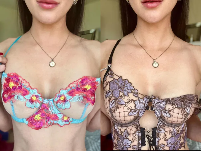 Thumbnail This or That: Laneycoselpersonal's Stylish Query