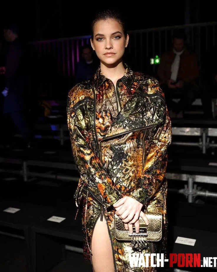 Barbara Palvin by Conscious-Dingo4463