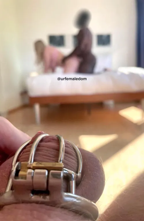 Thumbnail Ultimate Fantasy: Destroyed by a Muscular BBC Bull | damngoodinterracial
