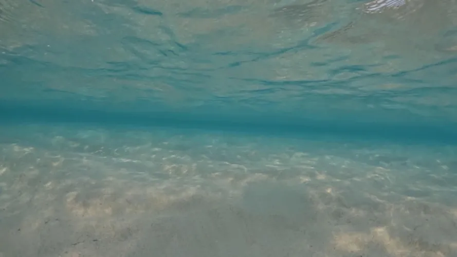 Thumbnail The Crystal Clear Water of Perhentian Islands by No-Photo-7025 | Beach Category