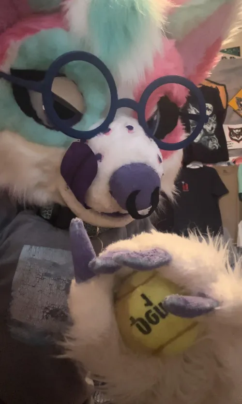 Thumbnail Play Ball: Furry Fun with Ancient_Summer_1833