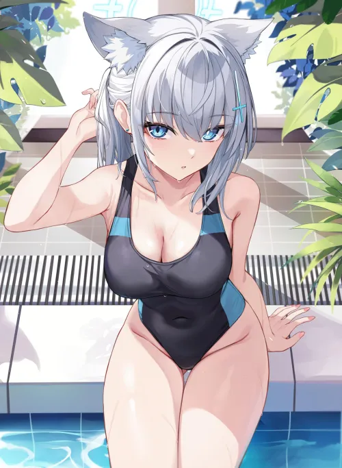 Thumbnail Shiroko: Dive into Swimsuit Charm by konosubak