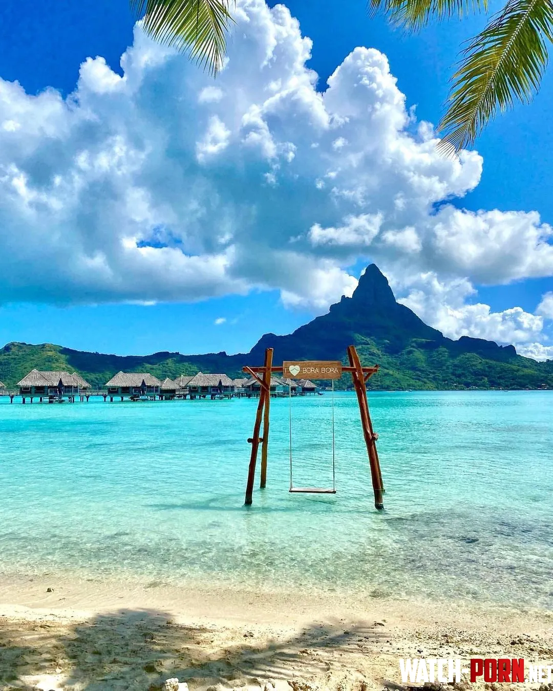 What about relaxing on that sea swing by Mosang06