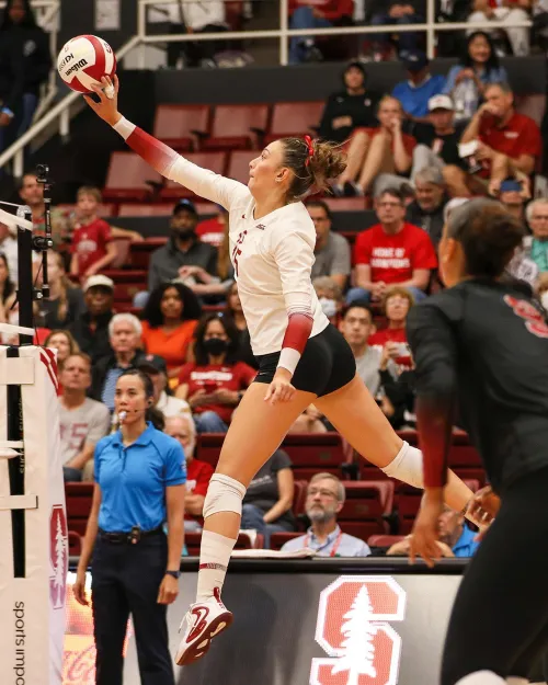 Thumbnail Ipar Kurt at Stanford: Women Volleyball Insights by xasthur07