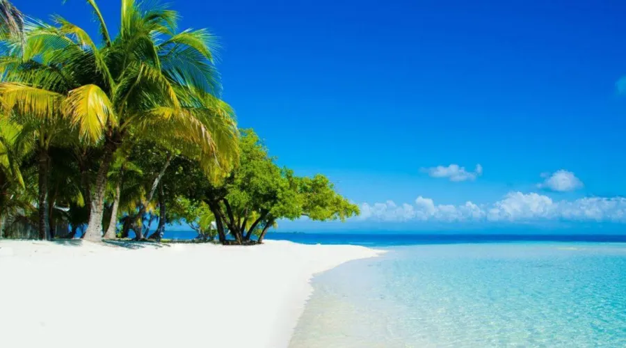 Thumbnail Paradise Found: Discovering Placencia Beach Belize by FlyAnnual3336