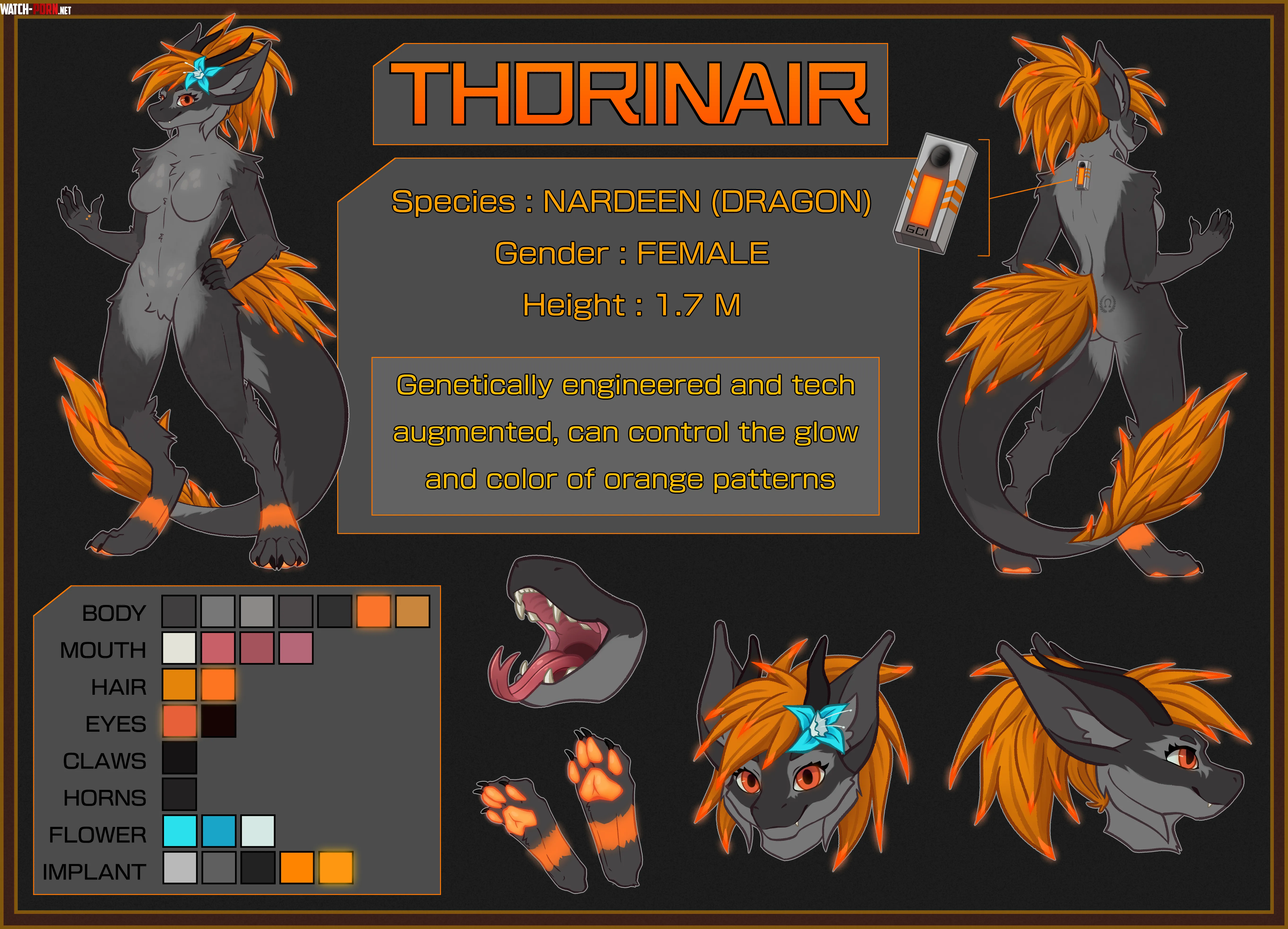 Ref sheet commission for thorinairmusic on twitter by me by 1ratamo1