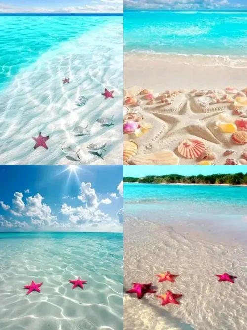 Thumbnail Immersing in Ocean Vibes at the Beach by Main_Analysis_5224