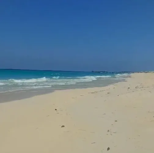 Thumbnail Belle Photo de la Mer et de la Plage by CarlaAhmed | Beach Category