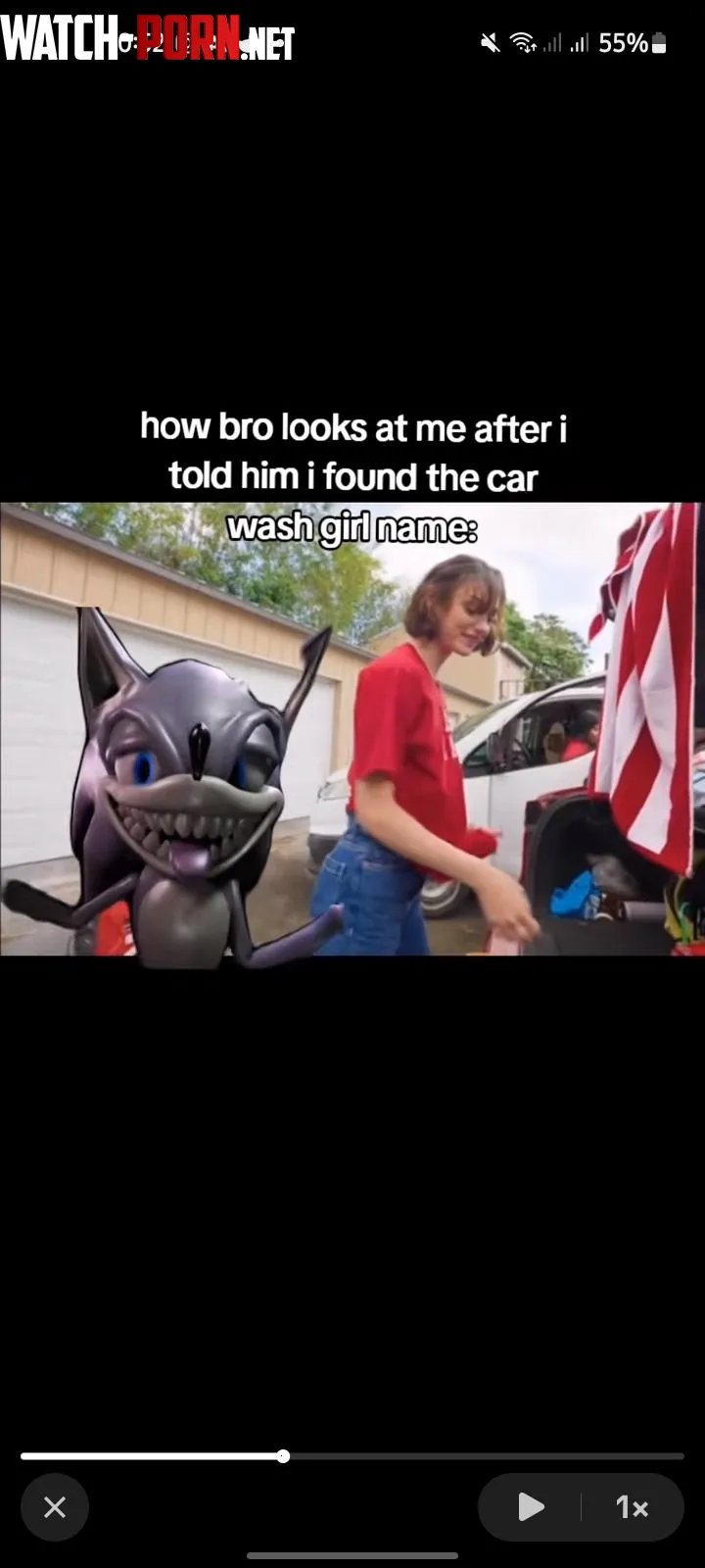 Anyone know this one Found it on tiktok by Valadis047