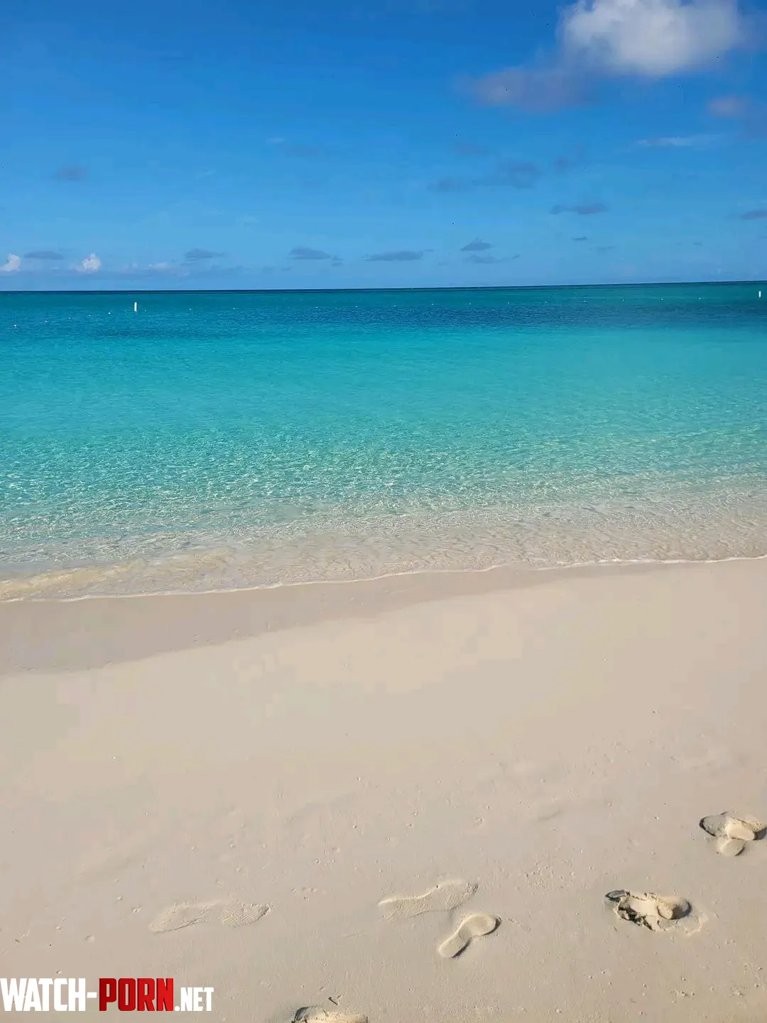 Paradise  by ProcessSmooth3088