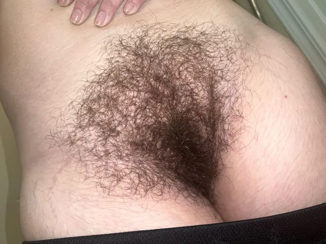 Thumbnail baby_sophia20's No-Shave Journey: Embracing the HairyCurvy Lifestyle