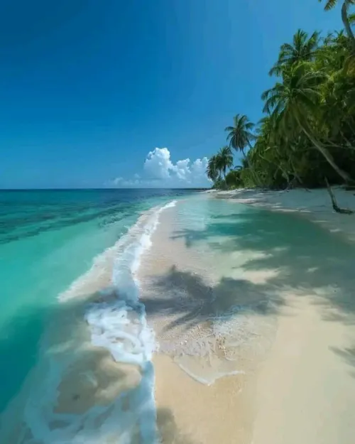 Thumbnail Maldives Beach Escapes: Unveiling Exotic Beauty by Main_Analysis_5224