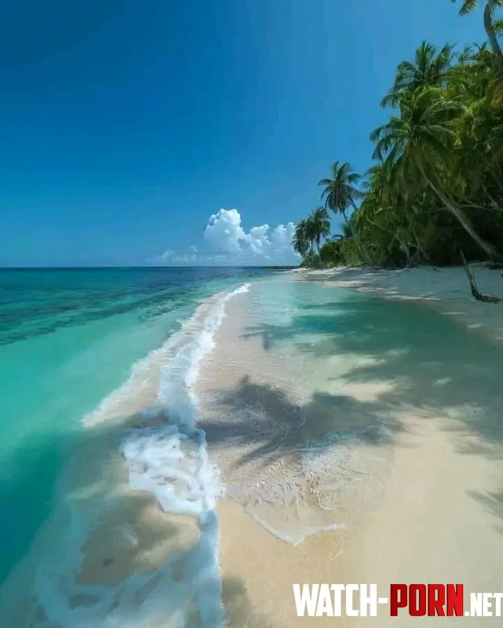 Maldives Beach  by Main_Analysis_5224